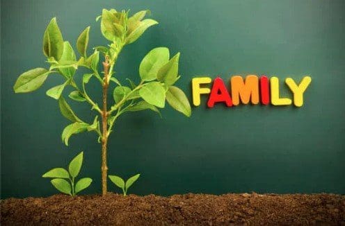 growing tree with the word family - per stirpes
